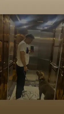 Adana Köpek Eğitim Akademisi Eren