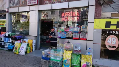 Afrika Pet Market