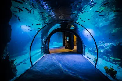Funtastic Aquariums İzmir