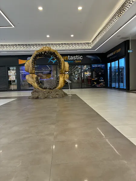 Funtastic Aquariums İzmir foto 2