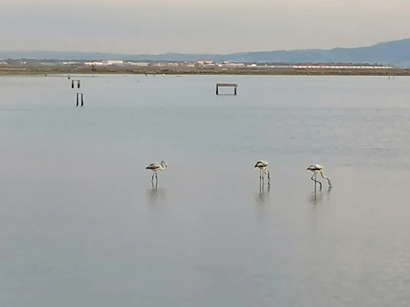 İzmir Kuş Cenneti Ziyaretçi Merkez foto 1