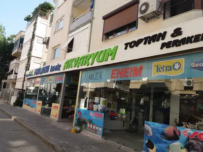 Malawi İzmir Akvaryum ve Pet Ürünleri