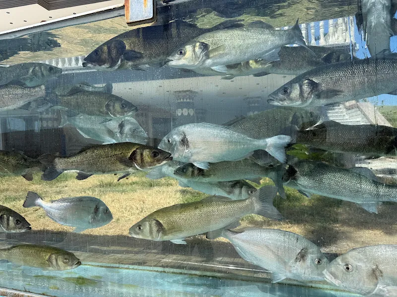Duvar Akvaryumlu Ev foto 1