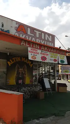 Altın Akvaryum