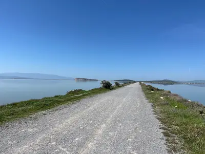 Kuş Cenneti