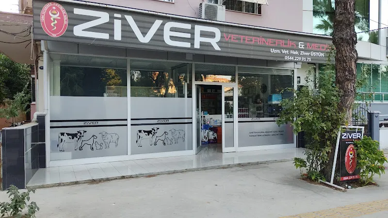 ZİVER VETERİNERLİK HİZMETLERİ MEDİKAL ÜRÜNLERİ SANAYİ TİCARET LİMİTED ŞİRKETİ foto 1