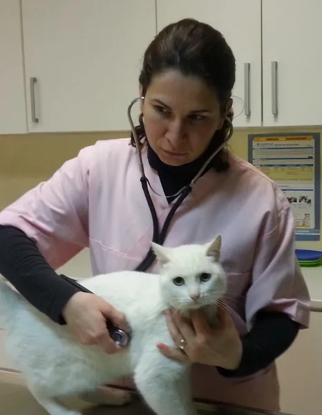 Zaugg Veteriner Kliniği foto 2