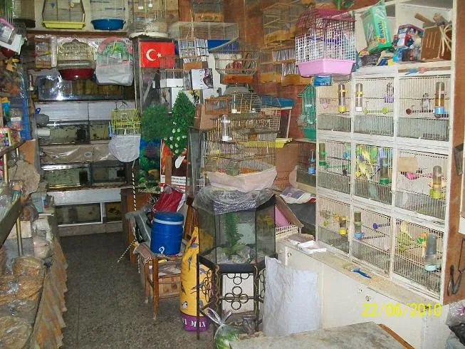 OnurKuşEvi foto 2