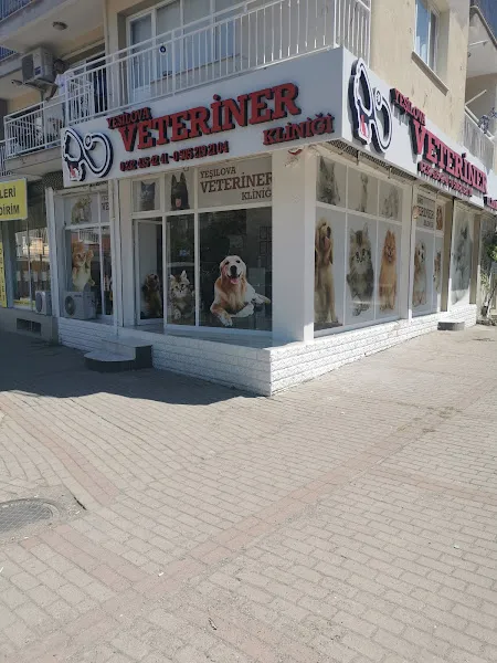 Yeşilova Veteriner Kliniği foto 2