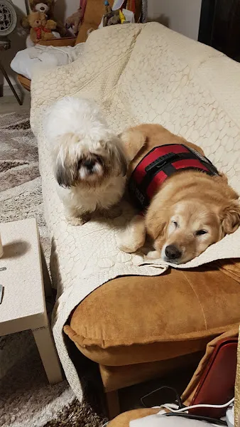 Sihir Veteriner Kliniği foto 2