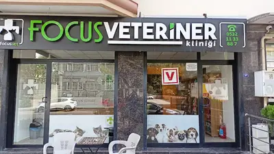 Gaziemir Focus Veteriner Kliniği