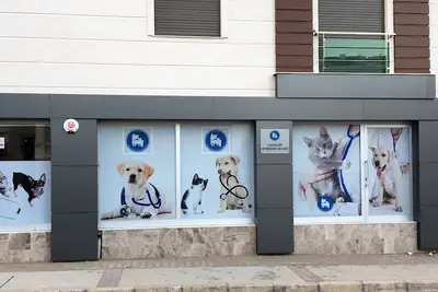 Gaziemir Veteriner Kliniği