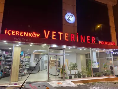 İçerenköy Veteriner Polikliniği