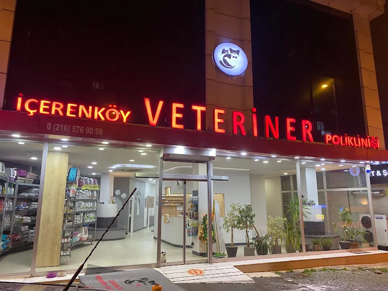 İçerenköy Veteriner Polikliniği foto 1