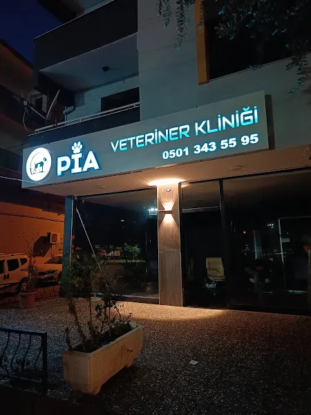 Pia Veteriner Kliniği foto 2