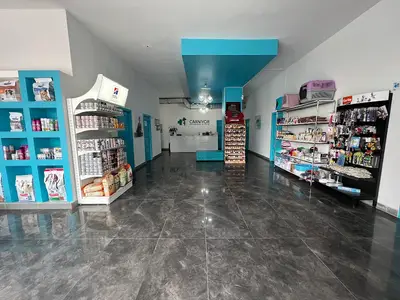 Carnivet Veteriner Kliniği