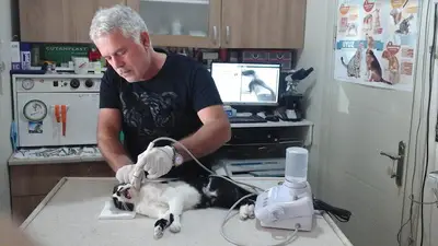ALIN PET VETERİNER KLİNİĞİ