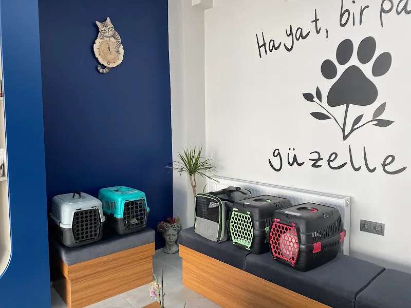 Patimate Bornova Veteriner Kliniği foto 2