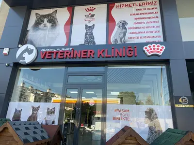 Animalplanet Veteriner Kliniği