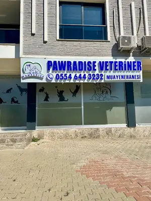 Ayrancılar Pawradise Veteriner Muayenehanesi