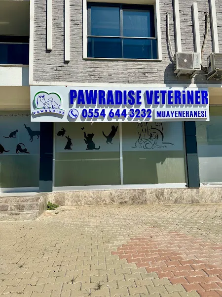 Ayrancılar Pawradise Veteriner Muayenehanesi foto 1