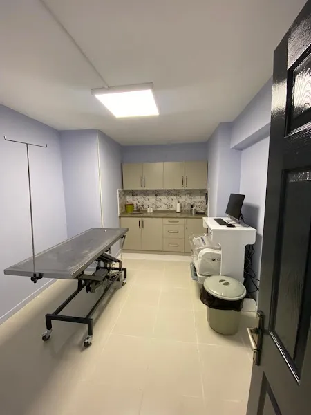 Vet Good Veteriner Kliniği foto 2