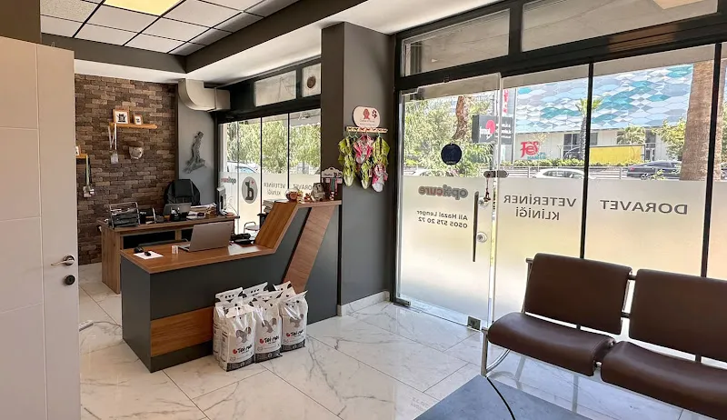 DoraVet Veteriner Kliniği foto 2