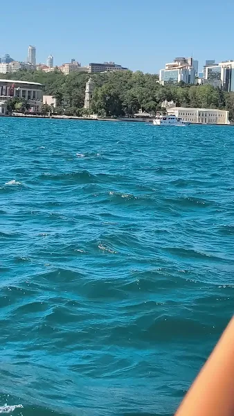 Bursa Hayvanat Bahçesi foto 2
