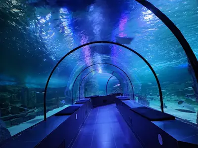 Sea Life Akvaryum Forum İstanbul