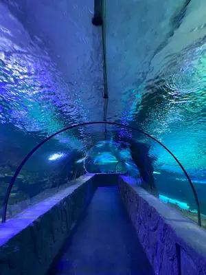 Aqua Vega Akvaryum