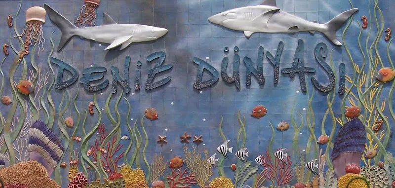 Keçiören Belediyesi Deniz Dünyası foto 1