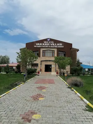 Van Kedisi Evi