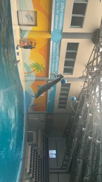 İstanbul Dolphinarium foto 2