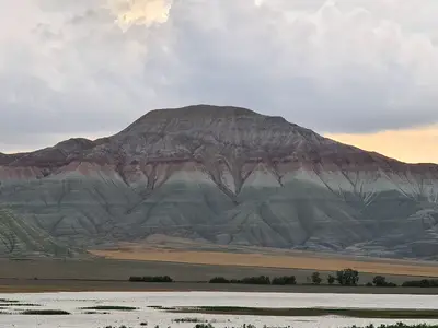 Nallıhan Kuş Cenneti Mahalli Öneme Haiz Sulak Alanı