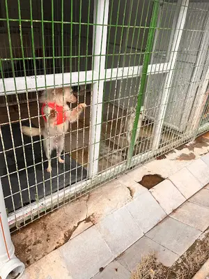 Tepebaşı Belediyesi Doğal Yaşam Merkezi