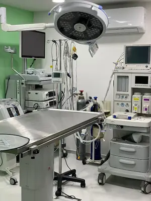Terapist Veteriner Polikliniği