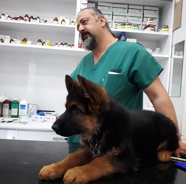 Asya Veteriner POLİKLİNİĞİ foto 2