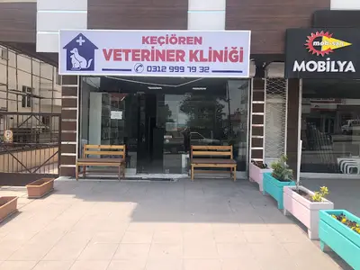Keçiören Veteriner Kliniği
