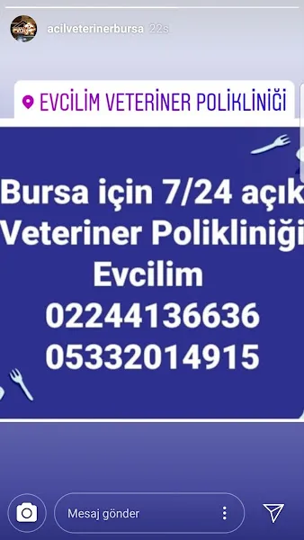EVCILIM 7/24 AÇIK VETERINER POLIKLINIĞI foto 2