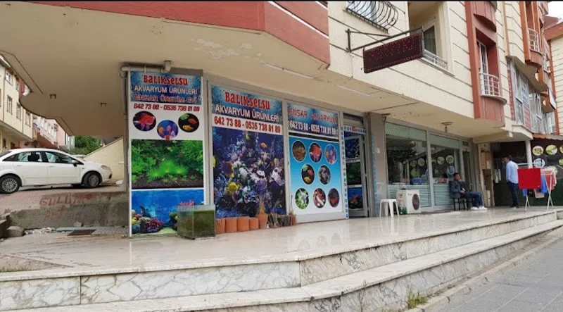 Ensar Üretim Evi - Balıkselsu Akvaryum Mağazası foto 1