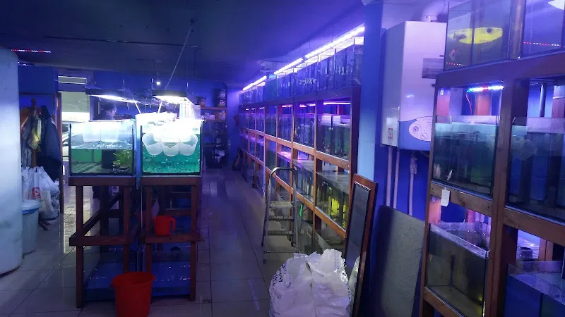 Ensar Üretim Evi - Balıkselsu Akvaryum Mağazası foto 2
