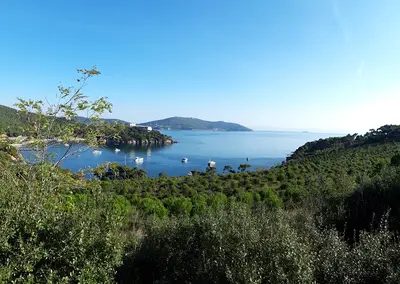 Çam Limanı Plajı