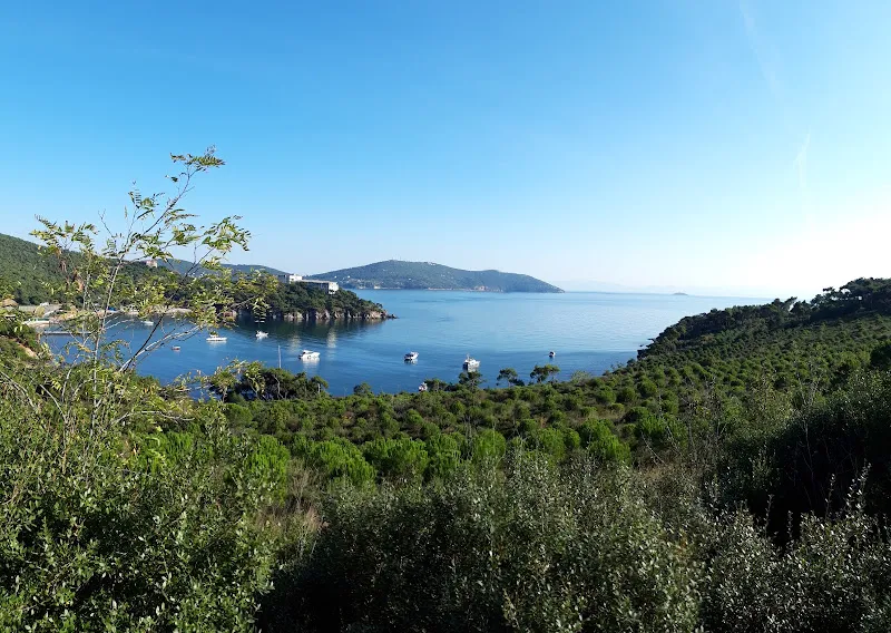 Çam Limanı Plajı foto 1