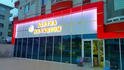 ALEYNA AKVARYUM