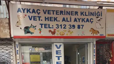 Aykaç Veteriner Kliniği