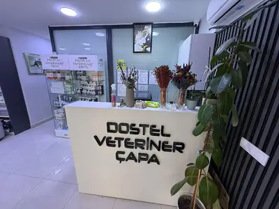 Dostel Veteriner Kliniği Çapa