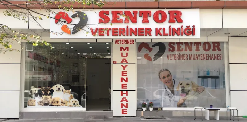 Sentor Veteriner Kliniği foto 1