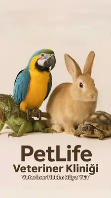 PetLife Veteriner Kliniği ( Kuş ve Egzotik Hayvan Sağlığı )