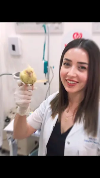 Kuş & Egzotik Hayvan Sağlığı ( PetLife Veteriner Kliniği ) foto 2