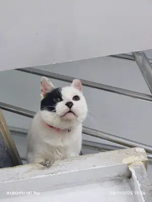 Doğa Veteriner Kliniği
